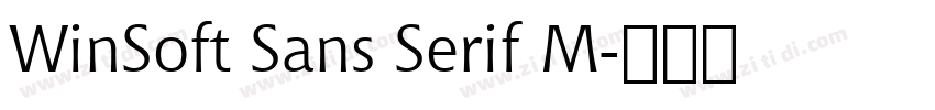 WinSoft Sans Serif M字体转换